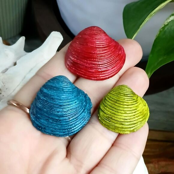 3 Piece Assorted Seashells, Craft Supplies, Nautical Florida Shells OOAK - Picture 1 of 4